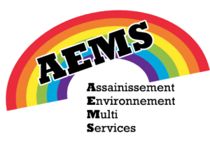 LOGO AEMS